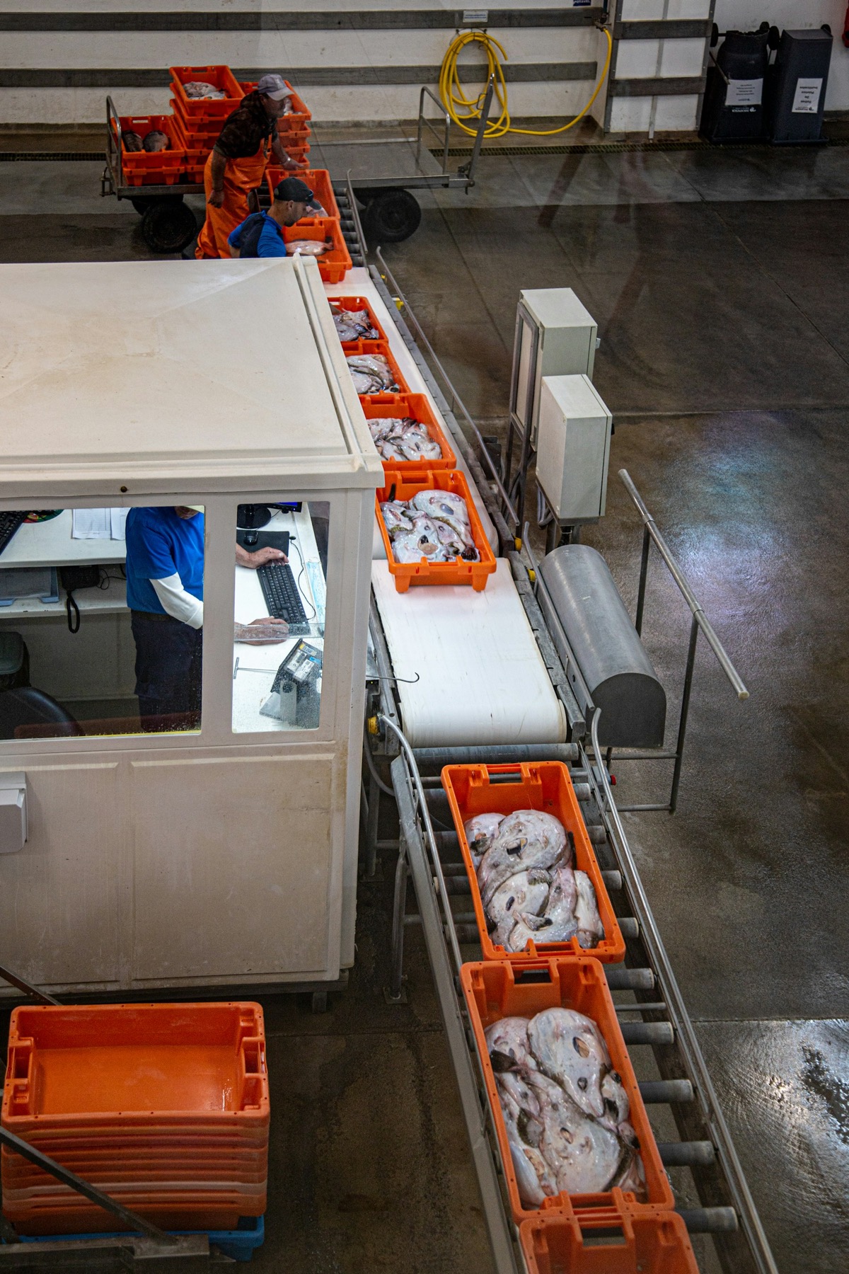 Ligne de transformation alimentaire pour illustrer la traçabilité des produits