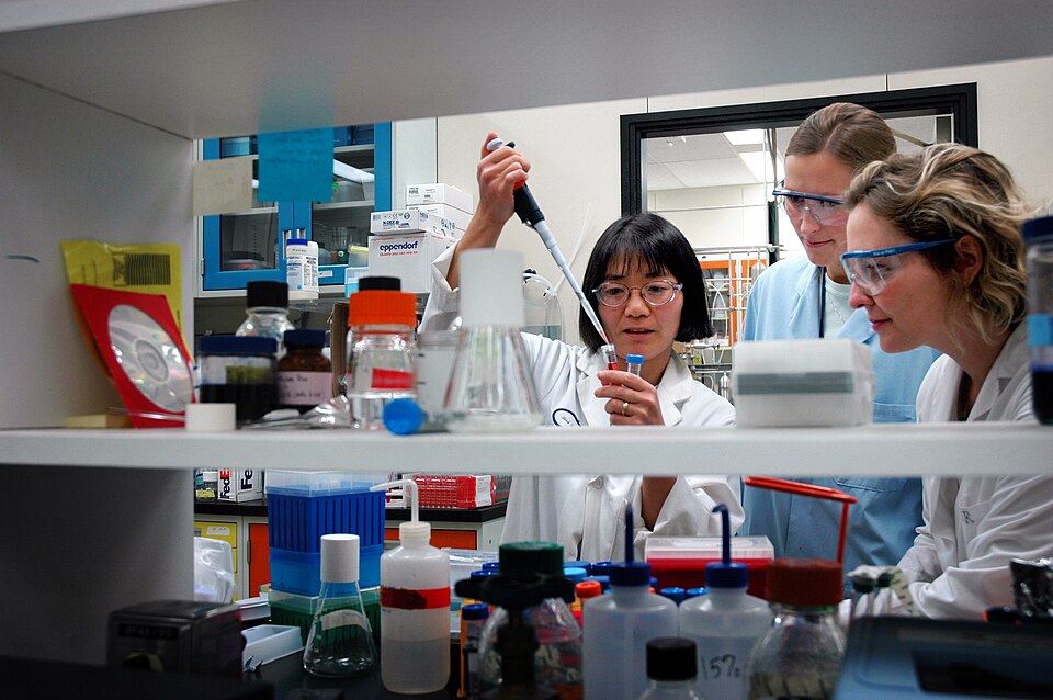Recherche biomédicale structurée pour illustrer une plateforme de suivi clinique